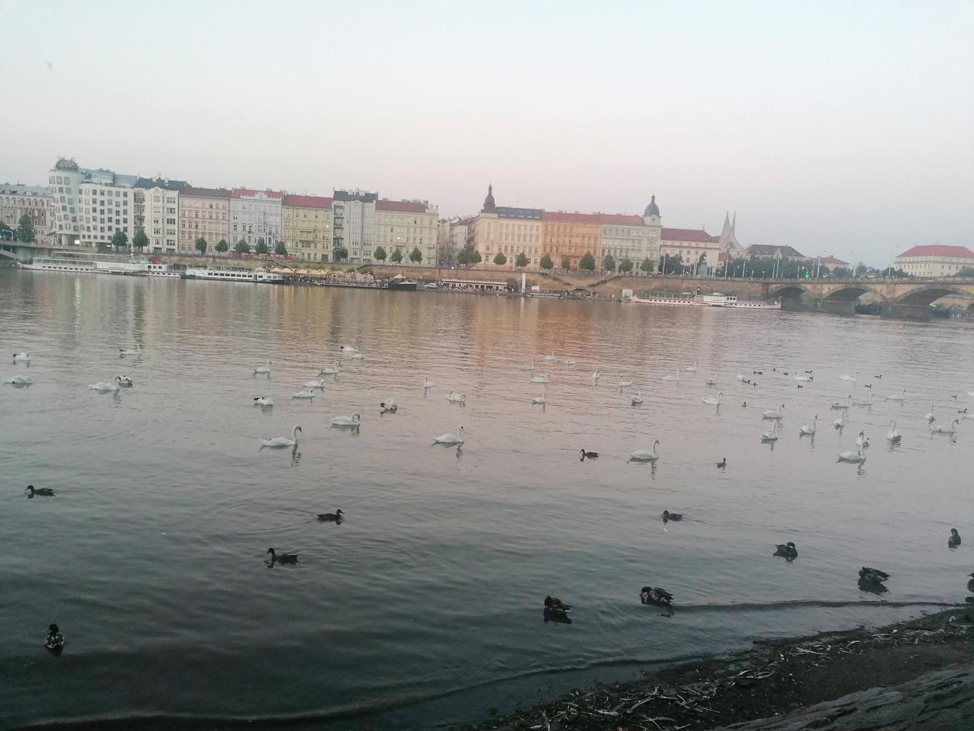 Valentinka Minutes Away From Charles Bridge Appartement Praag Buitenkant foto