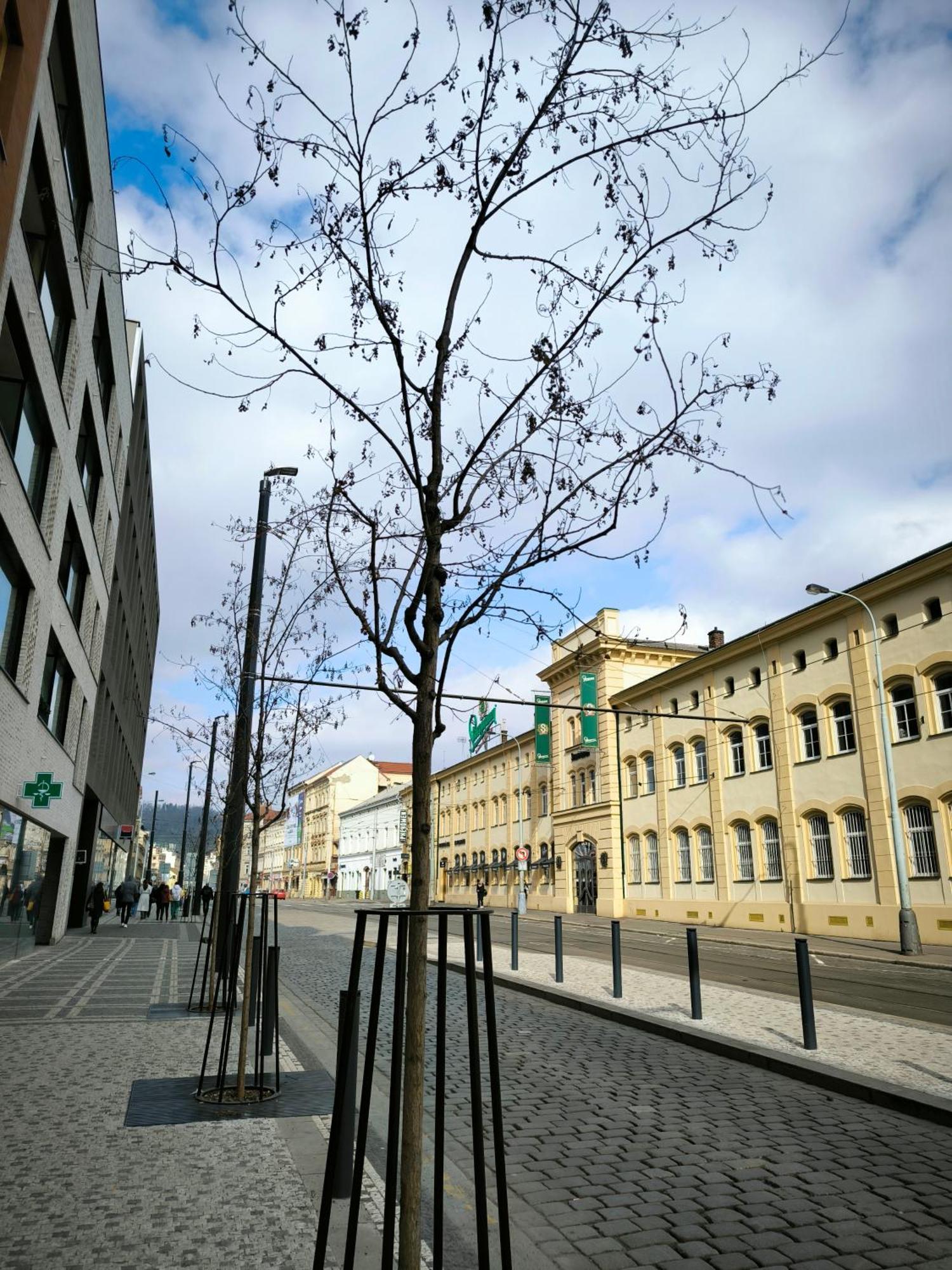 Valentinka Minutes Away From Charles Bridge Appartement Praag Buitenkant foto